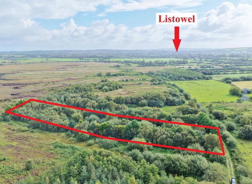 Gurtacrissane, Listowel photo