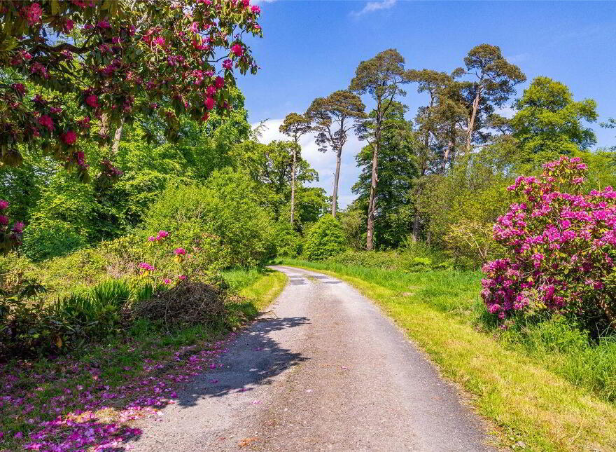Waterloo House, Navigation Road, Ballyclough, P51EW99