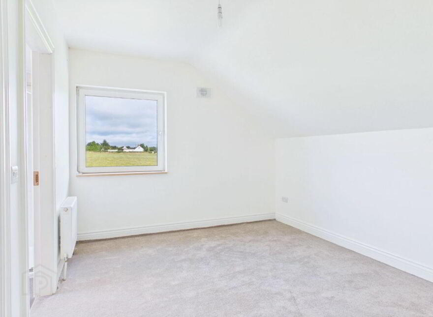 Brandra, Attanagh, Durrow, R32T3YP