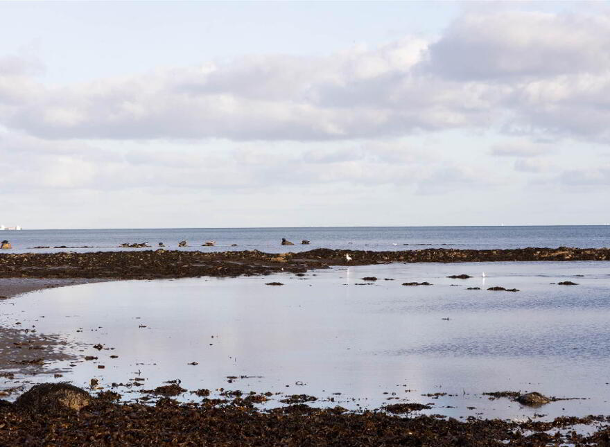 Water's Edge, 13 Shore Road, Inc. Site With FPP, Greenisland, BT38 8UA