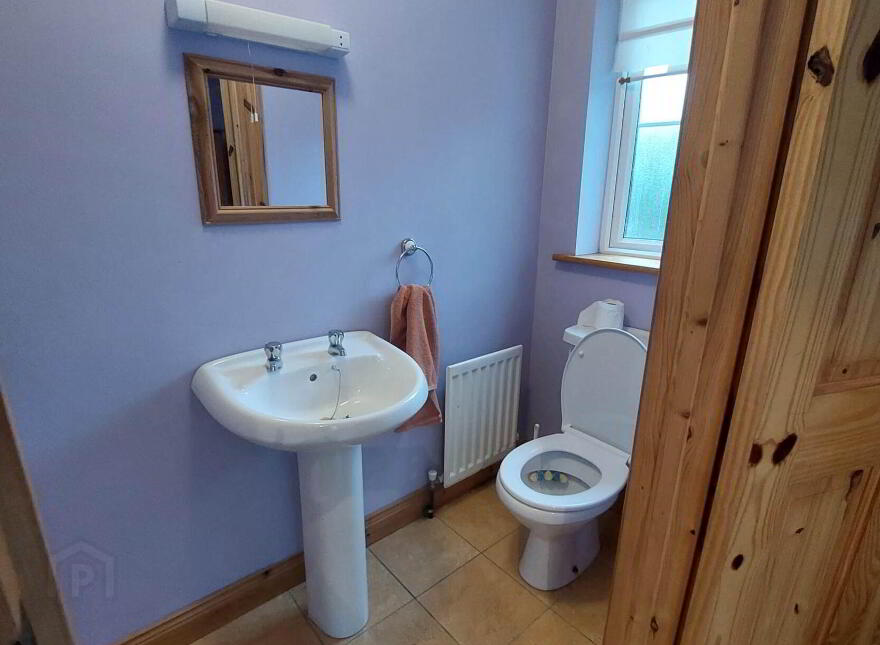 Drumkeeran Black, Arvagh, H12Y339