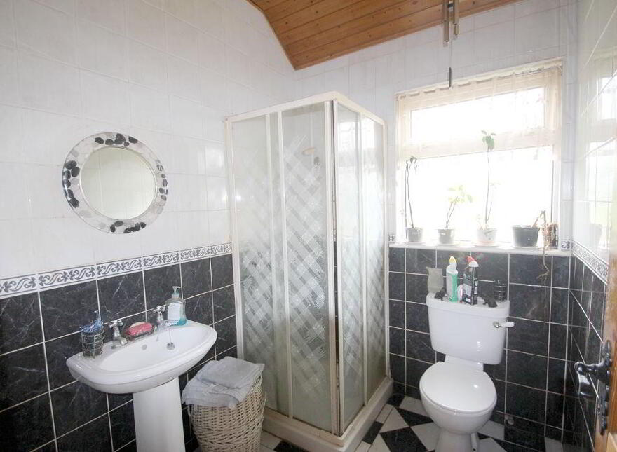 Cappincur, Tullamore, R35X597