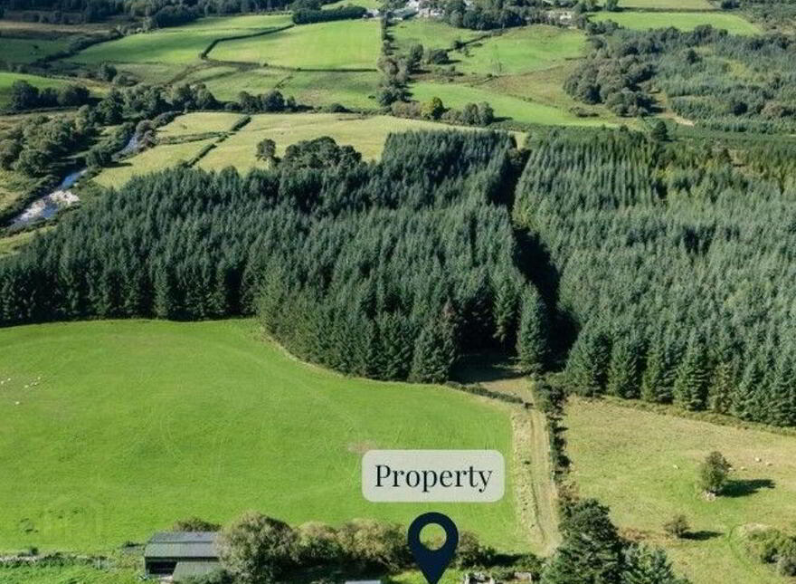 C. 0.97 Cottage On Acre - 0, 39 HA, Athdown, Manor Kilbride, Blessington, W91X4H0