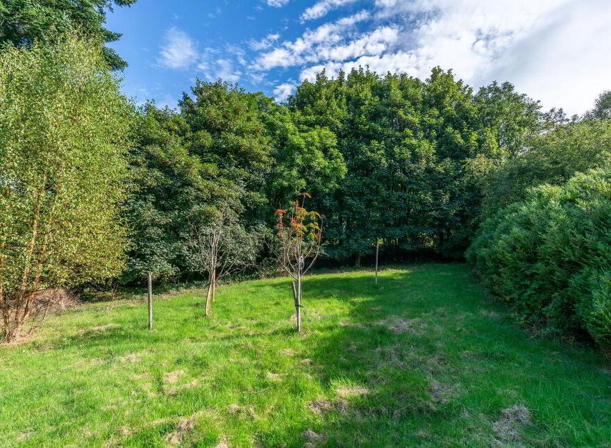 C. 0.97 Cottage On Acre - 0, 39 HA, Athdown, Manor Kilbride, Blessington, W91X4H0