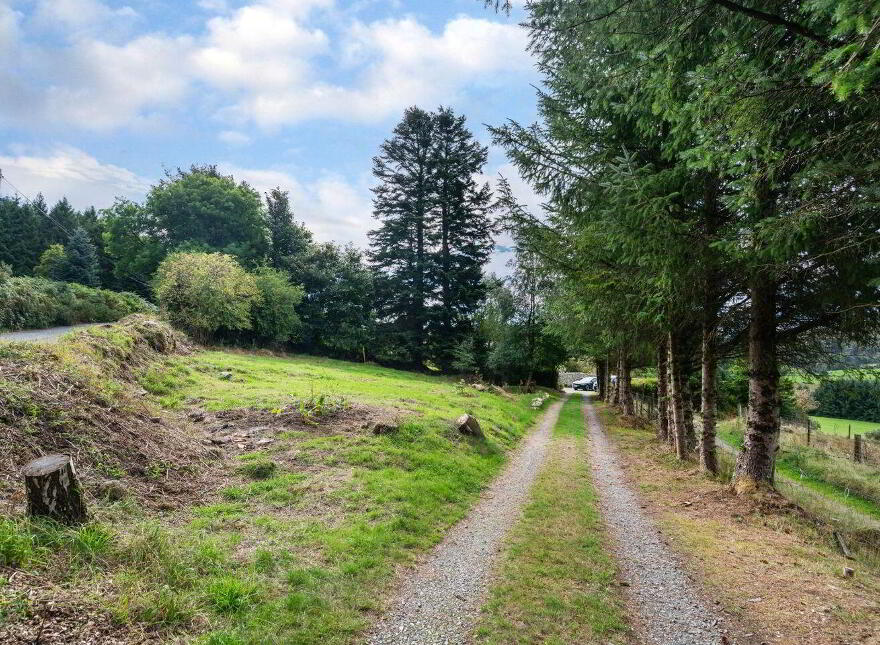 C. 0.97 Cottage On Acre - 0, 39 HA, Athdown, Manor Kilbride, Blessington, W91X4H0