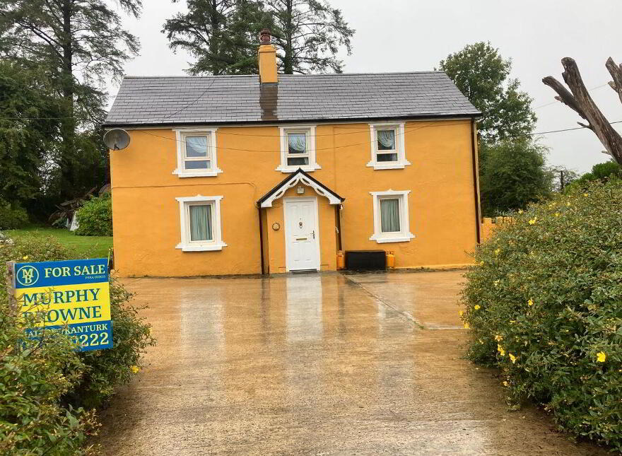 Knocknanaugh, Kishkeam, P51VN84