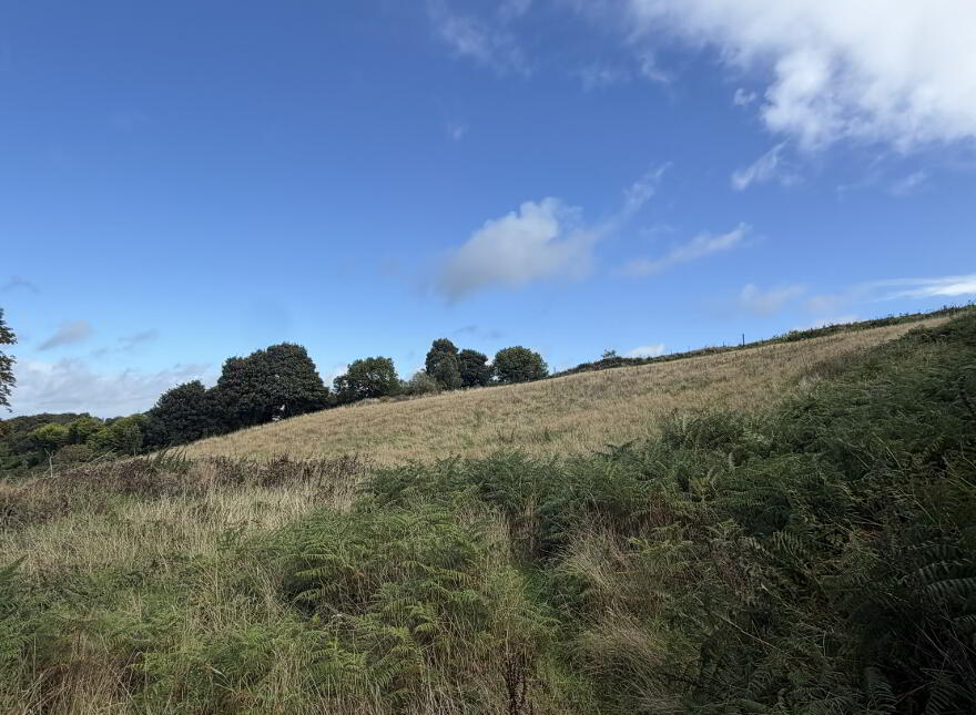 Agricultural Land Via Shared Laneway At 49, Bridge Road, Burren, Warrenpoint, BT34 3PZ