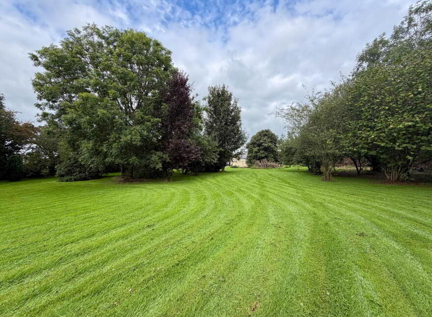 Riverview, Rathcannon, Athlacca, Kilmallock, V35YP66