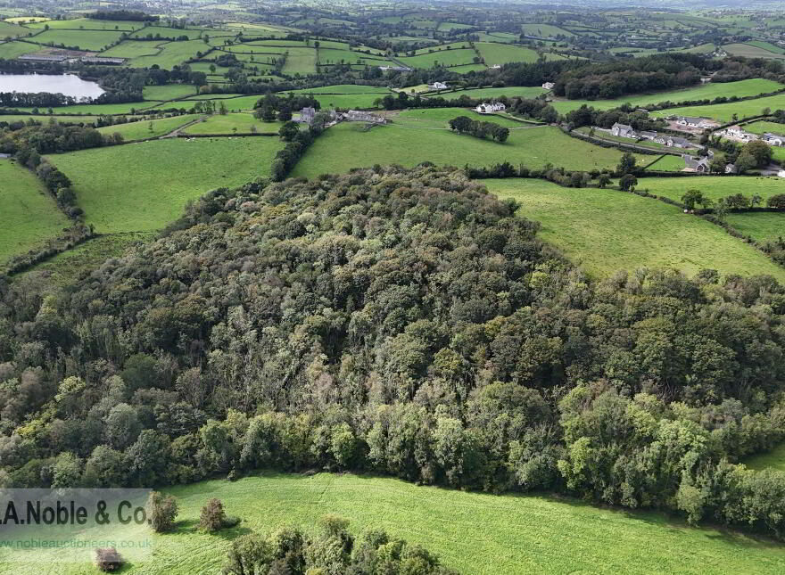 Lands At Rehaghy Road, Aughnacloy, BT69 6HB