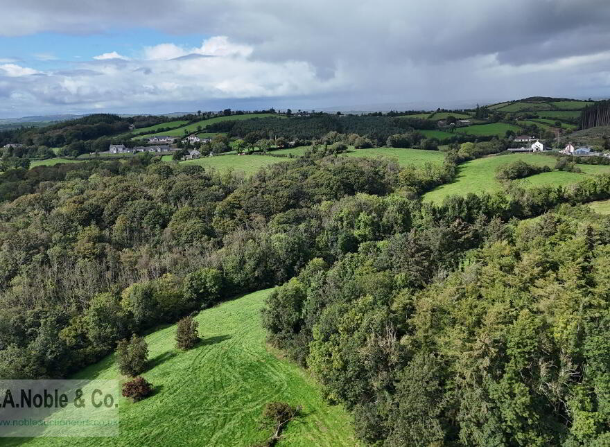 Lands At Rehaghy Road, Aughnacloy, BT69 6HB