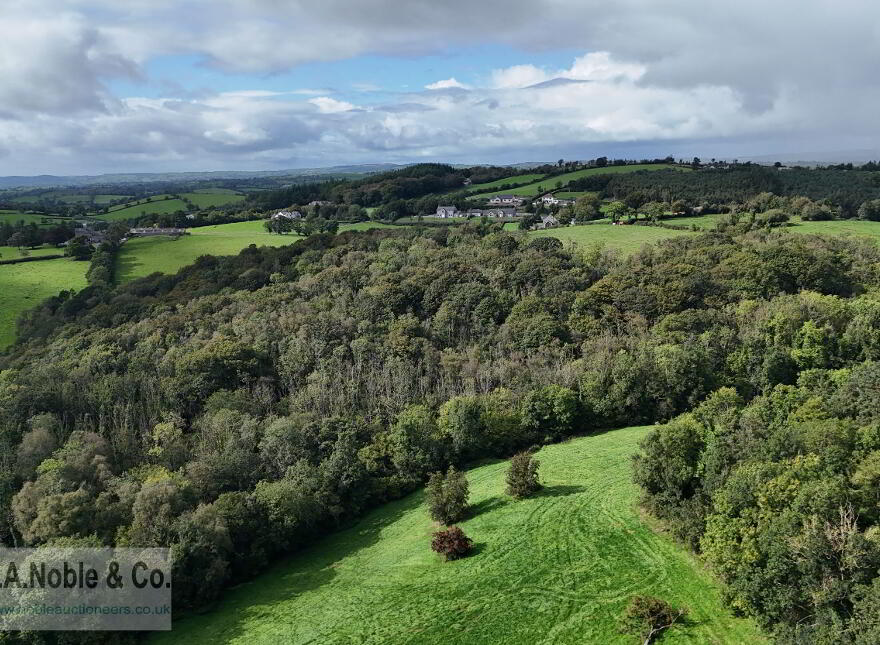 Lands At Rehaghy Road, Aughnacloy, BT69 6HB