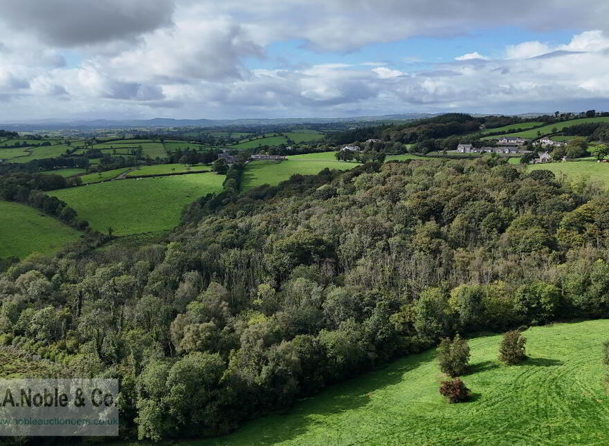 Lands At Rehaghy Road, Aughnacloy, BT69 6HB