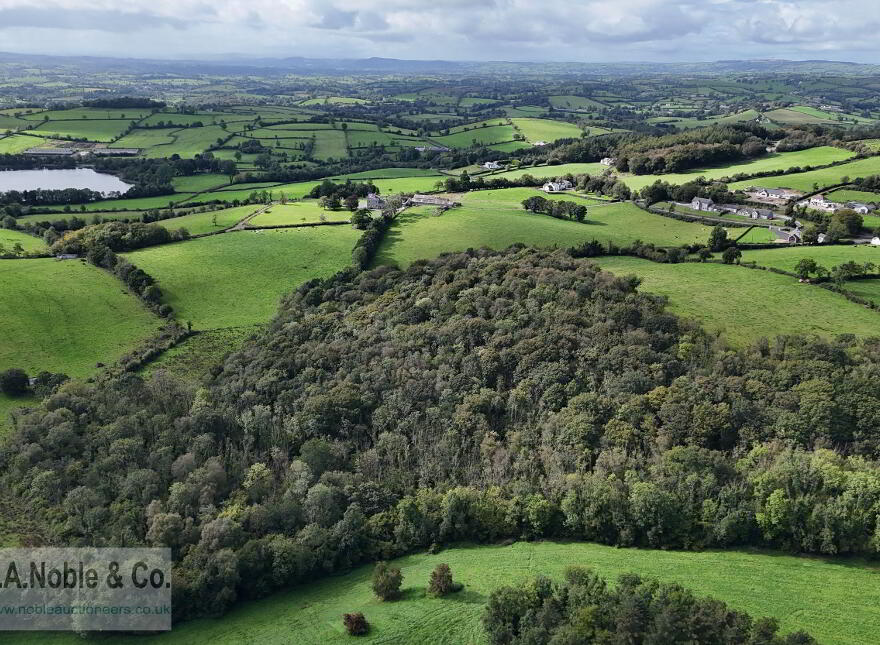 Lands At Rehaghy Road, Aughnacloy, BT69 6HB