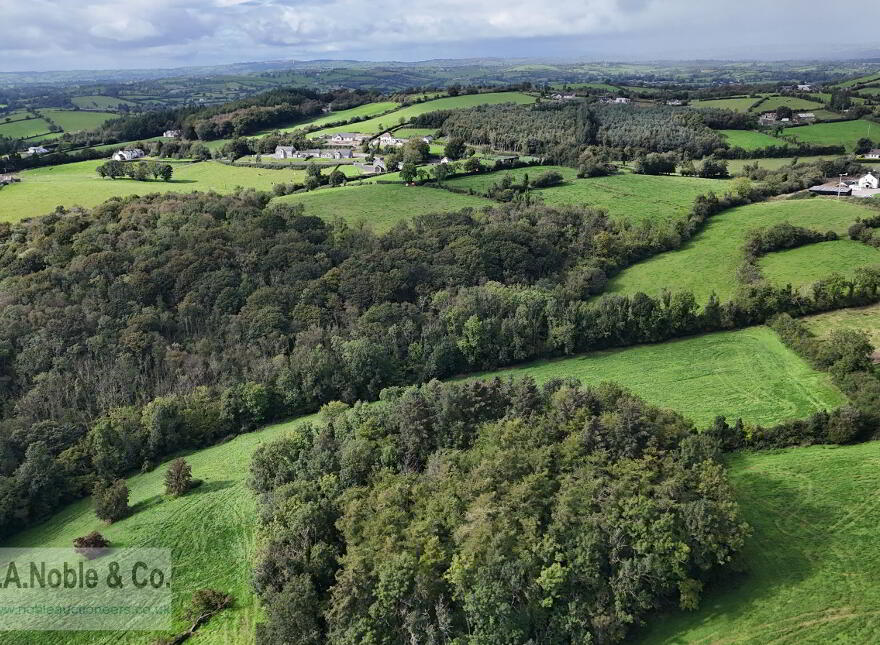 Lands At Rehaghy Road, Aughnacloy, BT69 6HB