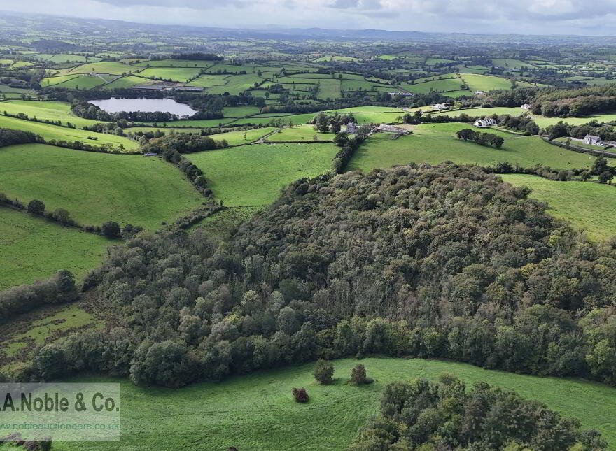 Lands At Rehaghy Road, Aughnacloy, BT69 6HB