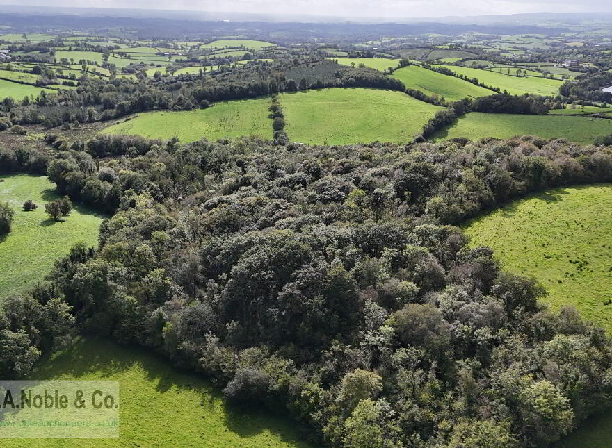 Lands At Rehaghy Road, Aughnacloy, BT69 6HB