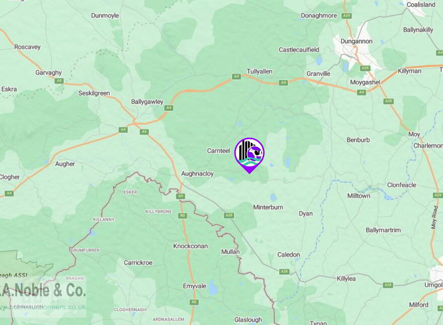 Lands At Rehaghy Road, Aughnacloy, BT69 6HB