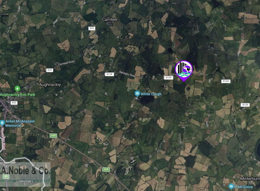 Lands At Rehaghy Road, Aughnacloy, BT69 6HB
