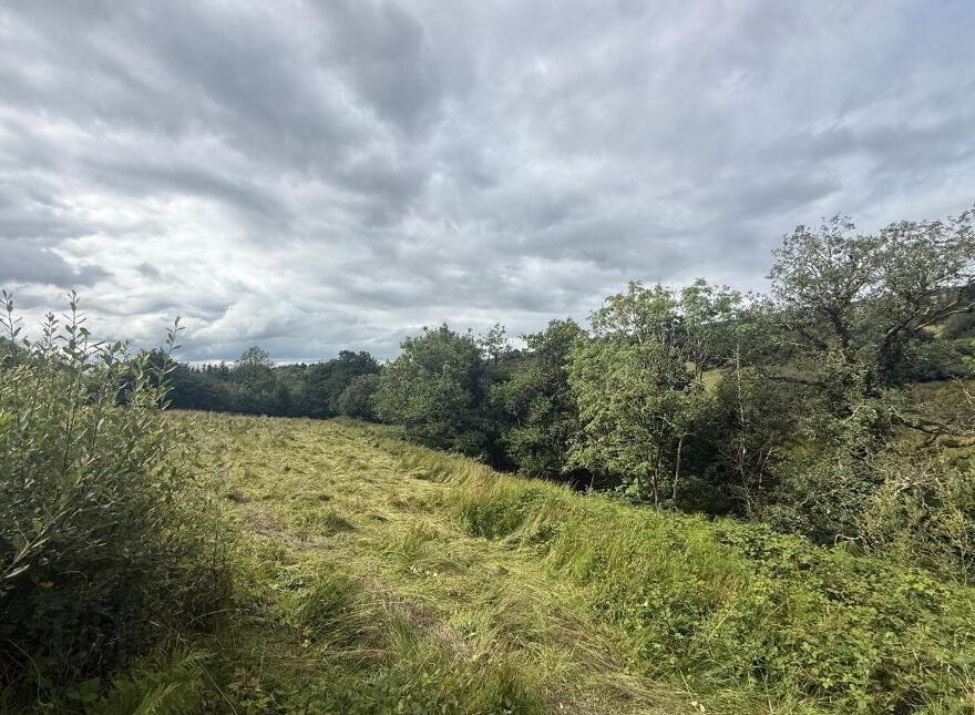 Lands, At Lurragh, Folio Rn7797f, Ballyfarnon, F52YF84