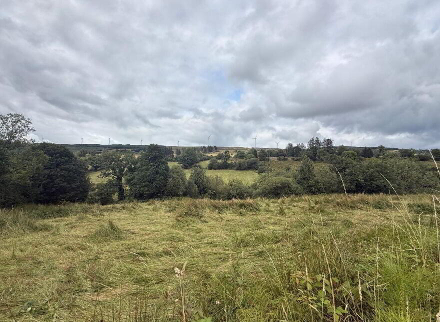Lands, At Lurragh, Folio Rn7797f, Ballyfarnon, F52YF84