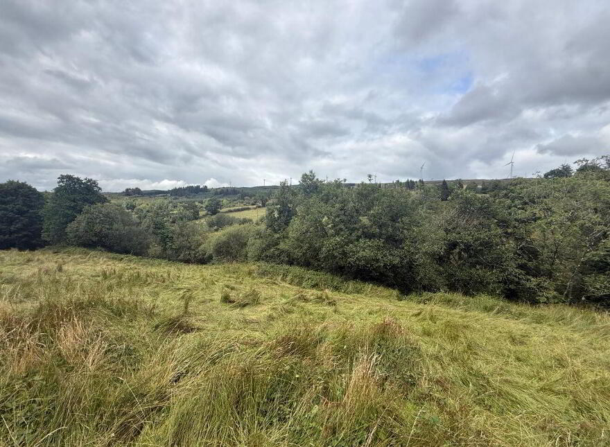 Lands, At Lurragh, Folio Rn7797f, Ballyfarnon, F52YF84