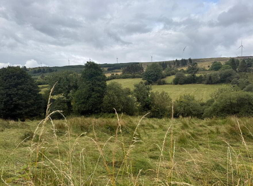Lands, At Lurragh, Folio Rn7797f, Ballyfarnon, F52YF84