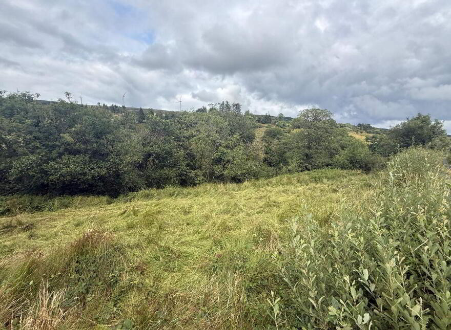 Lands, At Lurragh, Folio Rn7797f, Ballyfarnon, F52YF84