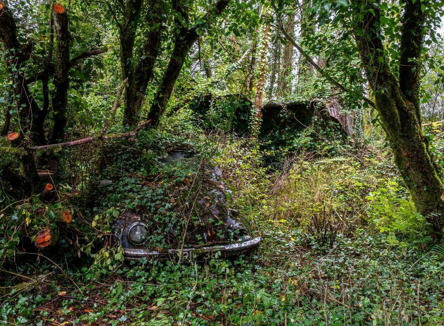 Aughnaglace, Eircode Next Door, Cloone, N41DE09