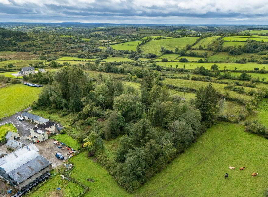 Aughnaglace, Eircode Next Door, Cloone, N41DE09