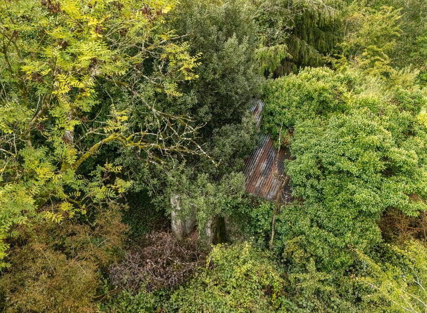 Aughnaglace, Eircode Next Door, Cloone, N41DE09