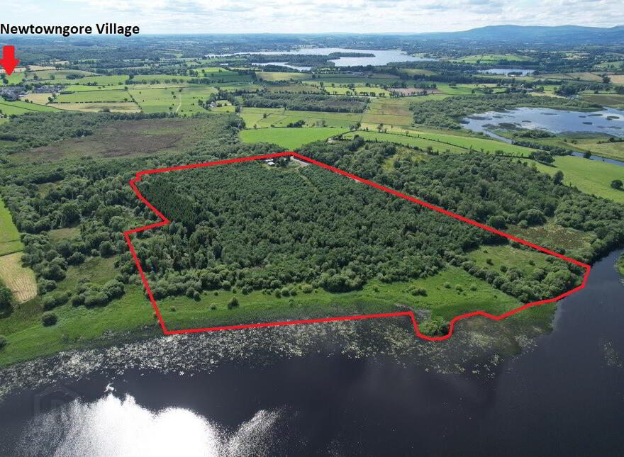 Derryniggin, Newtowngore