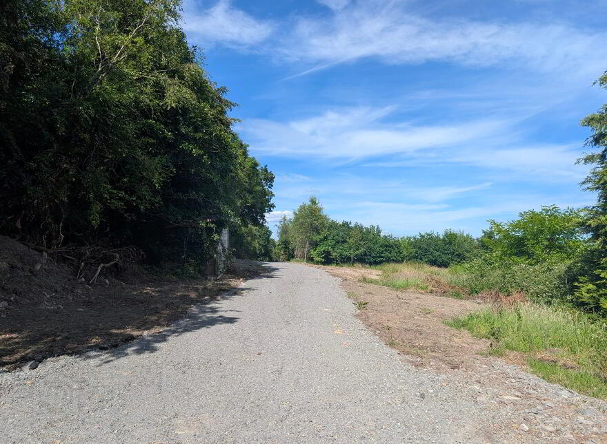 Derryniggin, Newtowngore