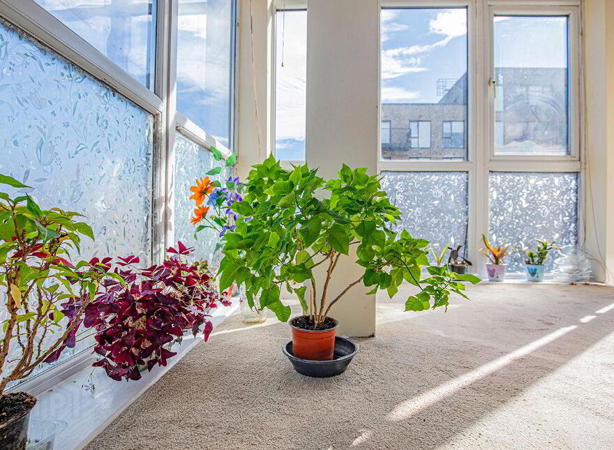 28 Belmayne Avenue, Belmayne, Dublin 13, D13H10F