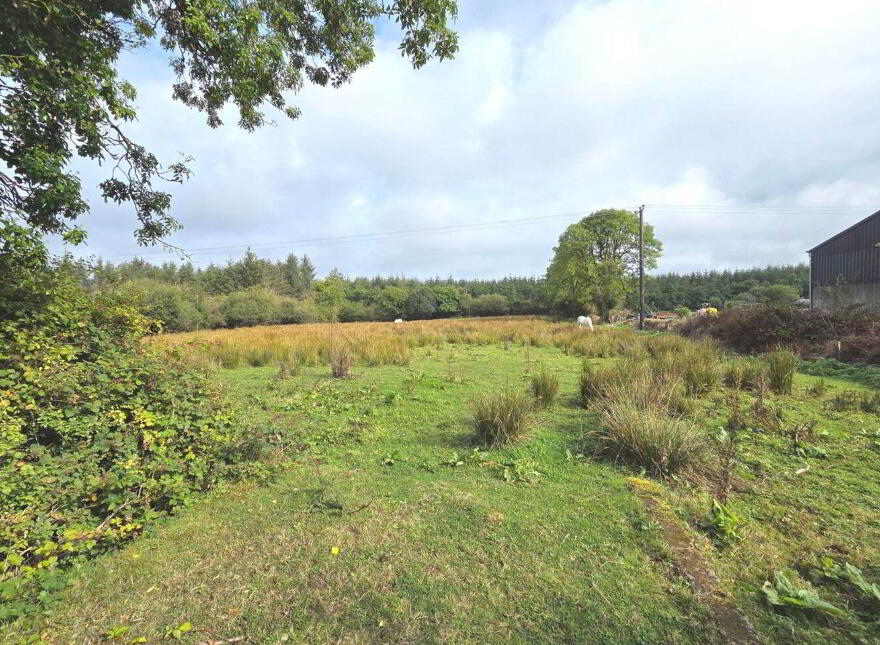 4 Bed Bungalow/ Seperate Workshop &, C. 8.75 Acres, Ballyhard, Glenamaddy, F45H049