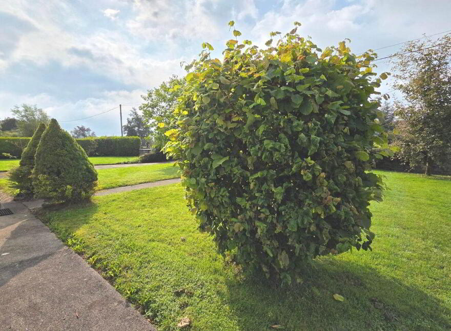 4 Bed Bungalow/ Seperate Workshop &, C. 8.75 Acres, Ballyhard, Glenamaddy, F45H049