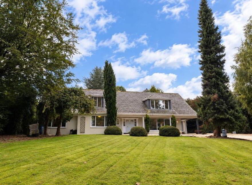 Nibera, Knockieran Lower, Blessington, W91N5RE photo