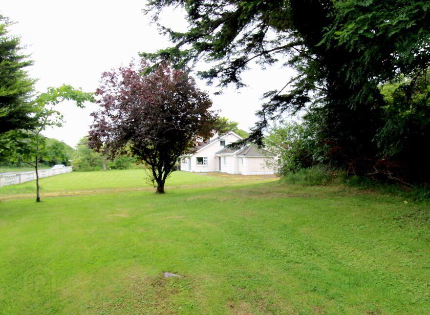 Shraheen, Foxford, F26PH48