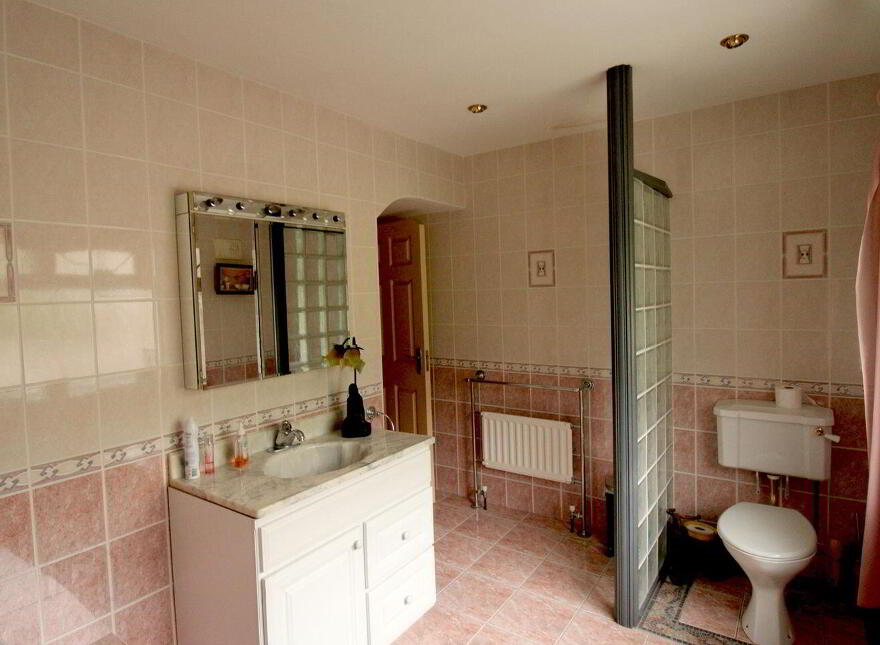 Shraheen, Foxford, F26PH48