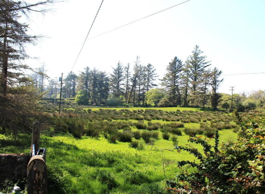 Clooneen, Dromore West, F26DY84