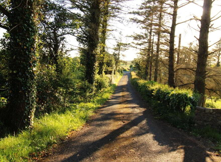Clooneen, Dromore West, F26DY84