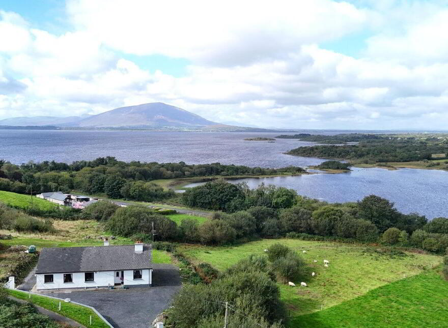Tavanaghmore, Foxford, F26YN67 photo