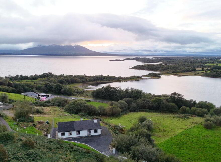 Tavanaghmore, Foxford, F26YN67