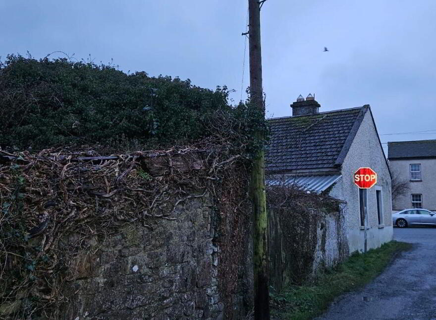 Main Street, Daingean
