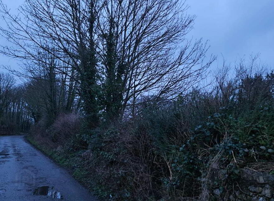 Main Street, Daingean