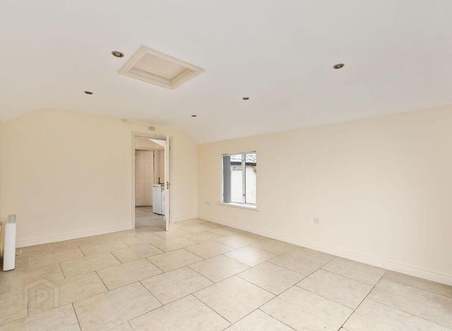Main Street, Rathangan, R51A436