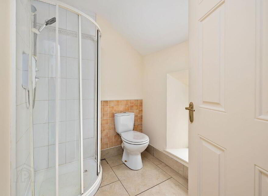 Main Street, Rathangan, R51A436