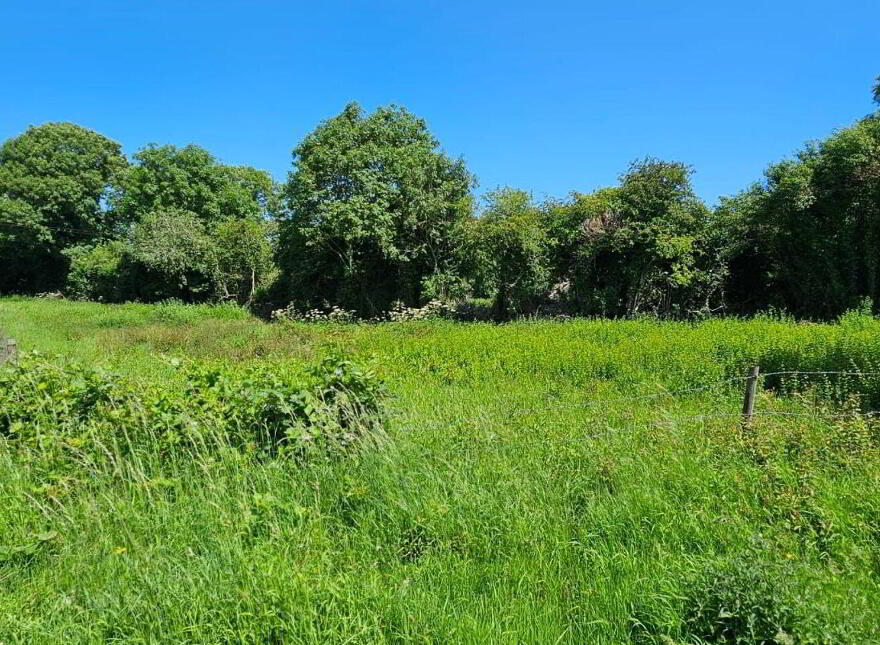 Clonkeen, Carbury