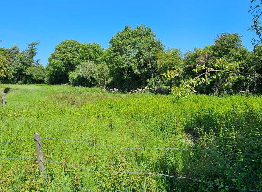 Clonkeen, Carbury