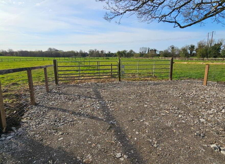 Carrick, Edenderry