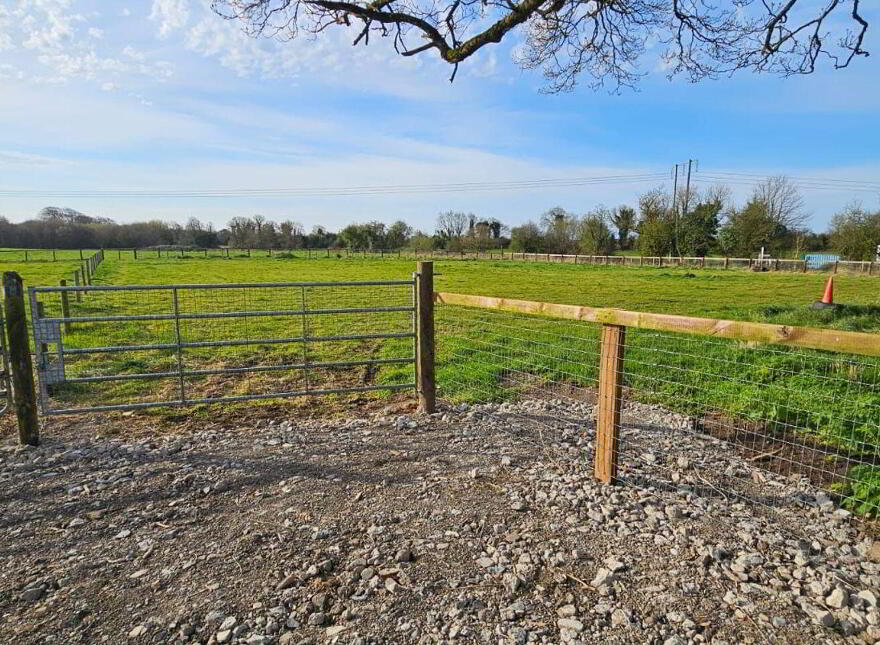 Carrick, Edenderry